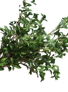 北欧马仿钟真植仿真花绿吊单枝醉木叶假树枝客厅HH-20218植物装饰