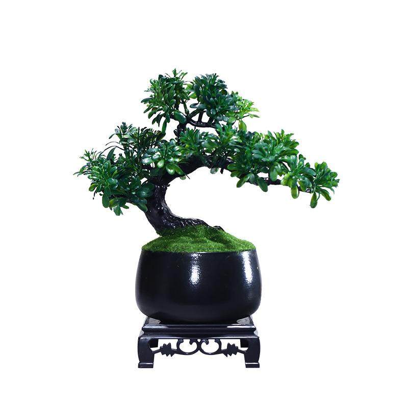 MP00298仿真绿植迎客松盆摆件假树松树发财小盆栽景植物内装饰点,鲜花速递/花卉仿真/绿植园艺,仿真绿植,淘宝优惠券,粉丝福利购,淘宝优惠卷