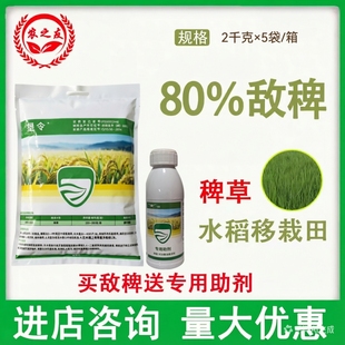 敌稗80％辉隆敌稗水分散粒剂水稻田（直播）稗草农用除草剂