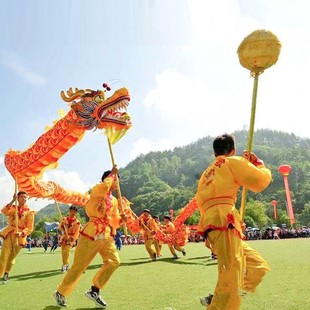 舞龙道具成人国际龙牛津布烫金舞龙龙头龙尾钢杆过年表演专用道具