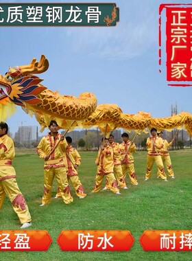 舞龙道具三号国标龙元宵节庆用品牛津布烫金龙钢丝龙饱满舞龙舞狮