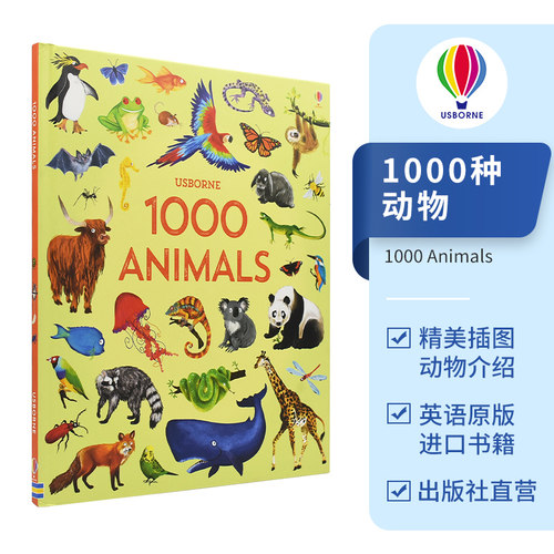 usborne原版进口英语绘本单词