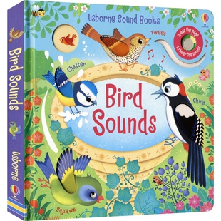 鸟类发声书 进口图书 Usborne Sounds 亲子读物 英文原版 幼儿早教读物 Bird 儿童启蒙认知绘本