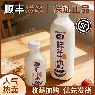 顺丰包邮塞上一头牛A2酪蛋白3.8g乳蛋白鲜牛奶巴氏杀菌营养早餐奶
