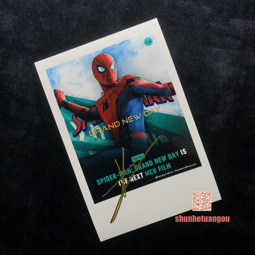 蜘蛛侠4 Spider-Man Brand New Day汤姆赫兰德Tom Holland亲签照