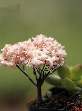 花树小摆件DIY植物樱花树浪漫圣诞树配饰造景仿真树仿真花造景