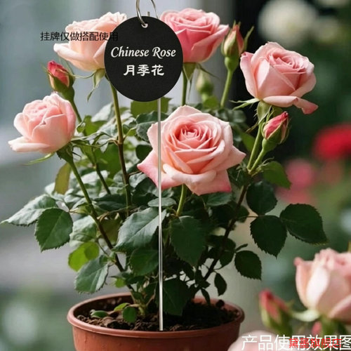 标牌插地牧羊钩花园花卉创意支架挂钩牌地插新款花球复古阳台装饰