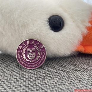 饰品合金圆形中国设计高档 南京理工大学徽章校徽高级感班徽装