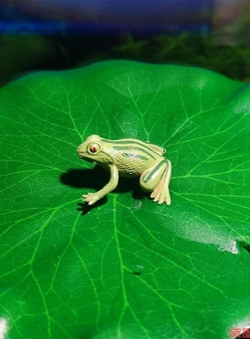 摆件池塘鱼缸新荷叶家庭造景睡莲仿真表演莲花泡棉假花装饰荷花新