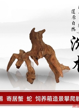 根雕树桩装沉木小根款式造型朽木小型盆栽鱼缸爬宠迷你禅意免煮装