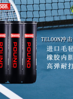 Teloon天龙球P4 POUND 4个装天龙网球耐打训练器比赛用球网球球