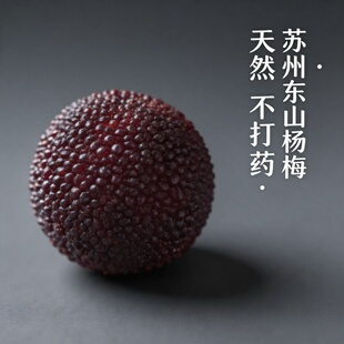 正宗苏州东山乌紫杨梅现摘现发新鲜鲜果酸甜多汁孕妇水果冷链保鲜