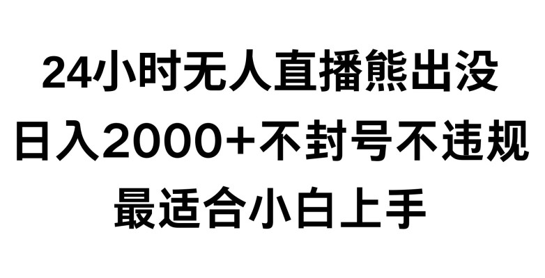 快手24小时无人直播熊出没不封直播间不违规日入2000适合小白上手