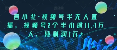 视频号半无人直播，视频号2个半小时11.7万人，纯利润1万+