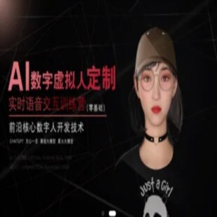 AI数字虚拟人定制，实时语音交互训练营，前沿核心数字人开发技术
