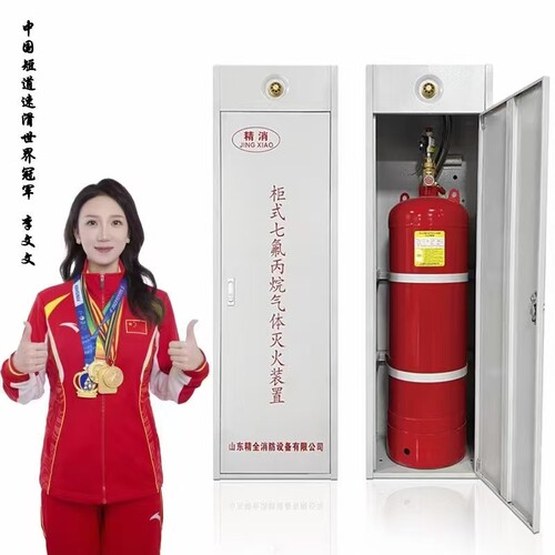 陕西精胜柜式七氟丙烷