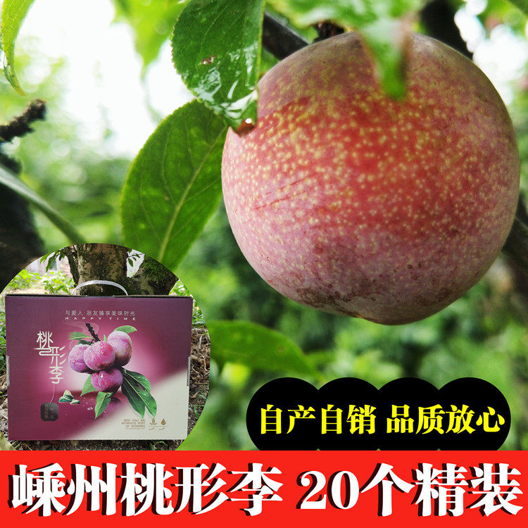 浙江嵊州金庭桃形李绿色新鲜水果好吃甜脆李红心李子自产自销送礼