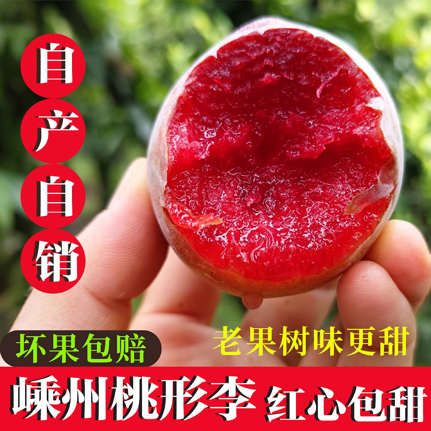 浙江嵊州金庭桃形李新鲜水果李子脆皮特甜羲之红心李中果农户自销