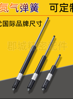 FGS-15 19 22 28-40 50 60 80 100 120 150 200 250300-BB气弹簧