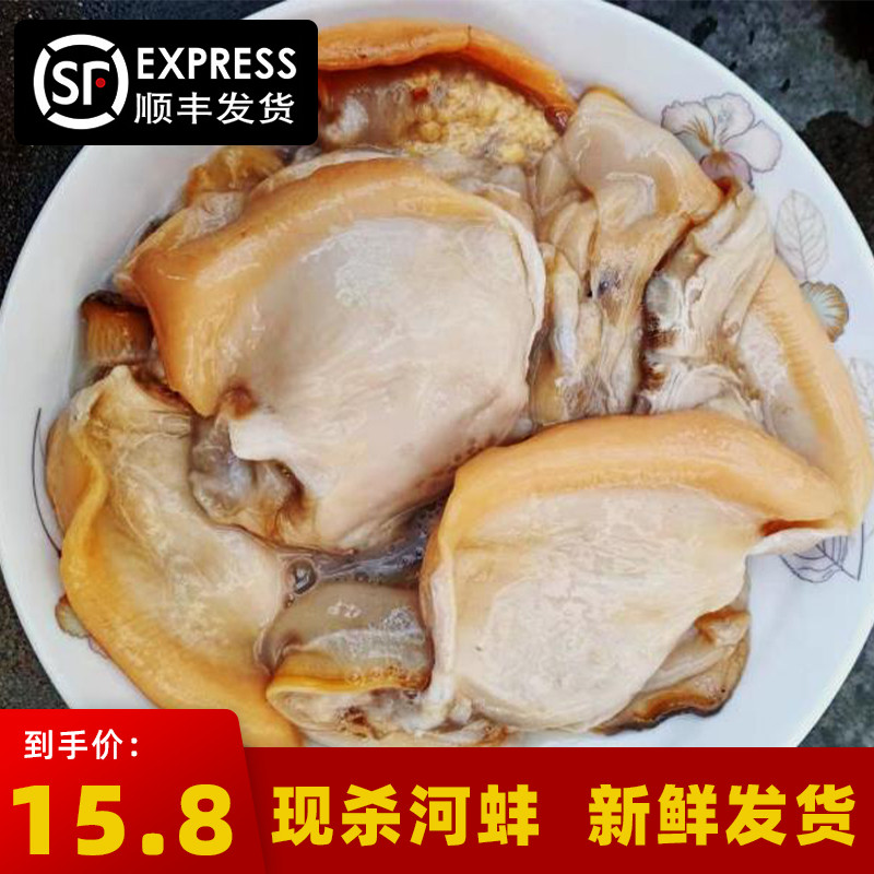 新鲜纯河蚌肉鲜活水产现杀去壳净肉小炒食材500g三斤包邮