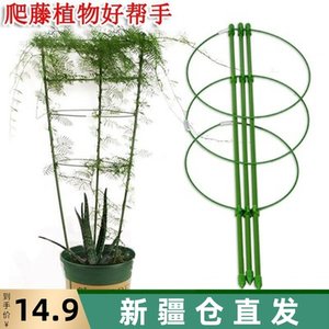 花支柱铁花架价格 花支柱铁花架图片 星期三