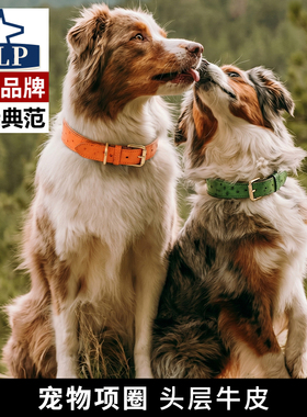 【日本高端ALP】宠物狗狗项圈真皮护脖狗带牵引绳中大型犬