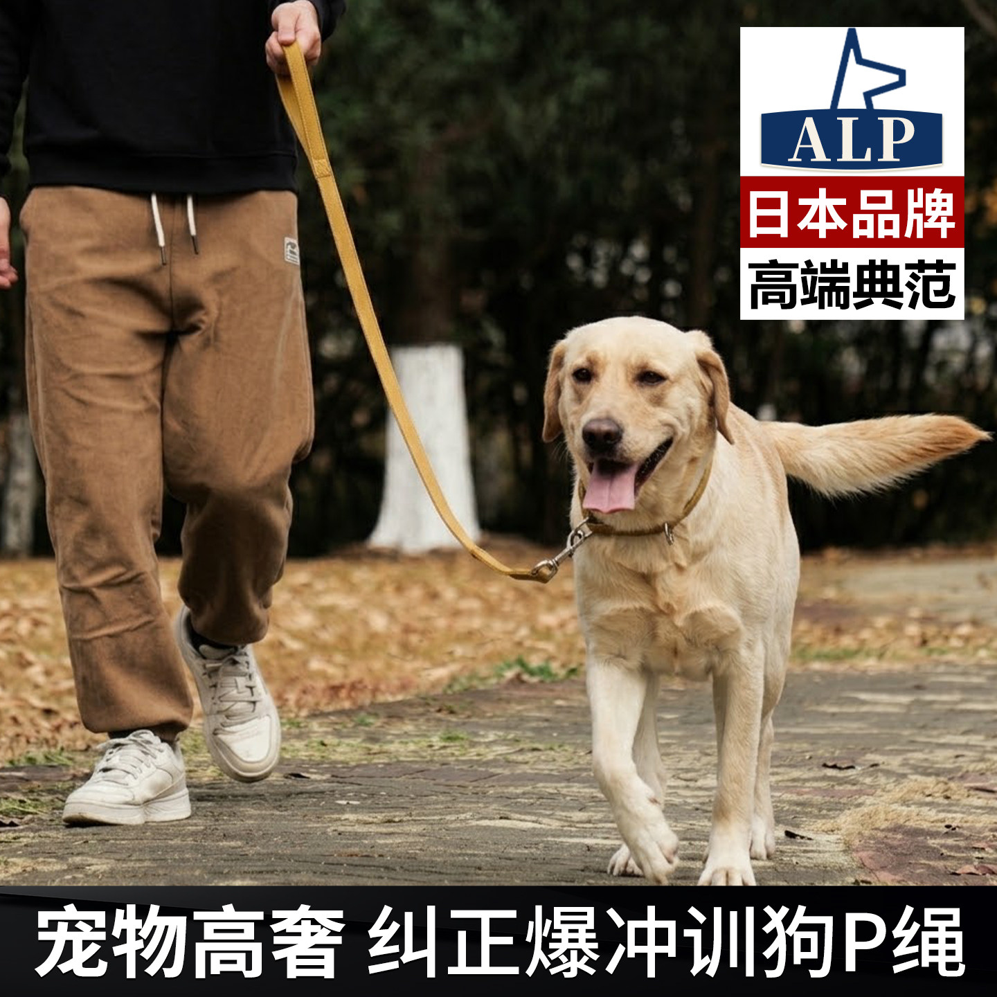 日本高端ALP狗狗牵引绳一体式P绳防爆冲P链不勒手遛狗绳大小通用