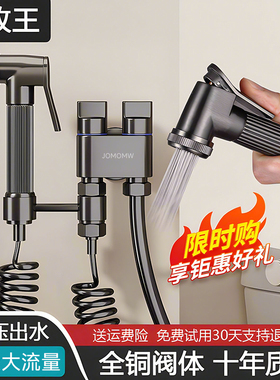 九牧王枪灰色高压马桶伴侣冲洗喷枪一进二出厕所全铜角阀妇洗喷头