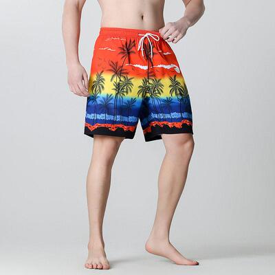 Men's Paisley Print Casual Shorts - Quick Dry Beach Shorts