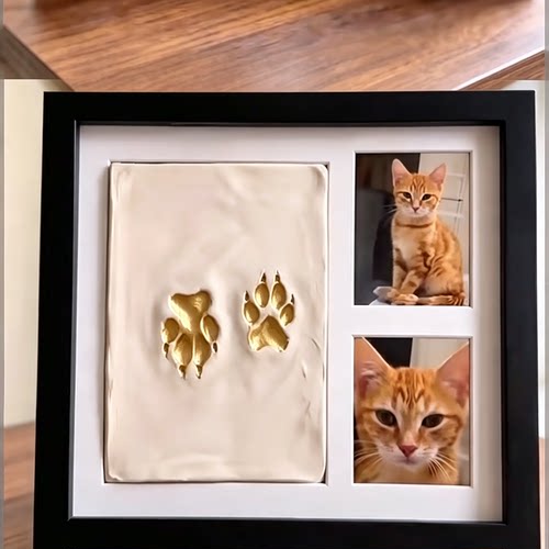 小红书爆款！猫咪脚印纪念相框照片掌印实木摆台桌面装饰画框摆件