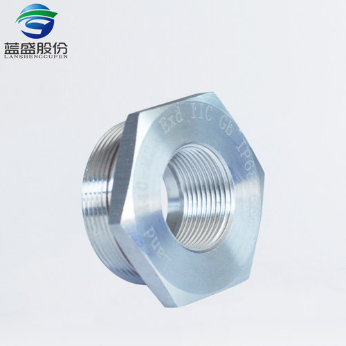 304不锈钢防爆变径环接头