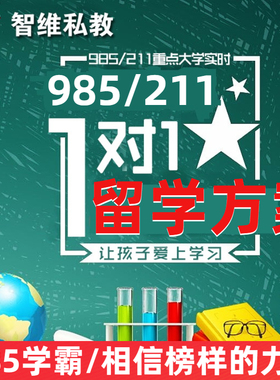 智维私教留学生作业 essay写作辅导 香港优才 留学咨询留学生申诉