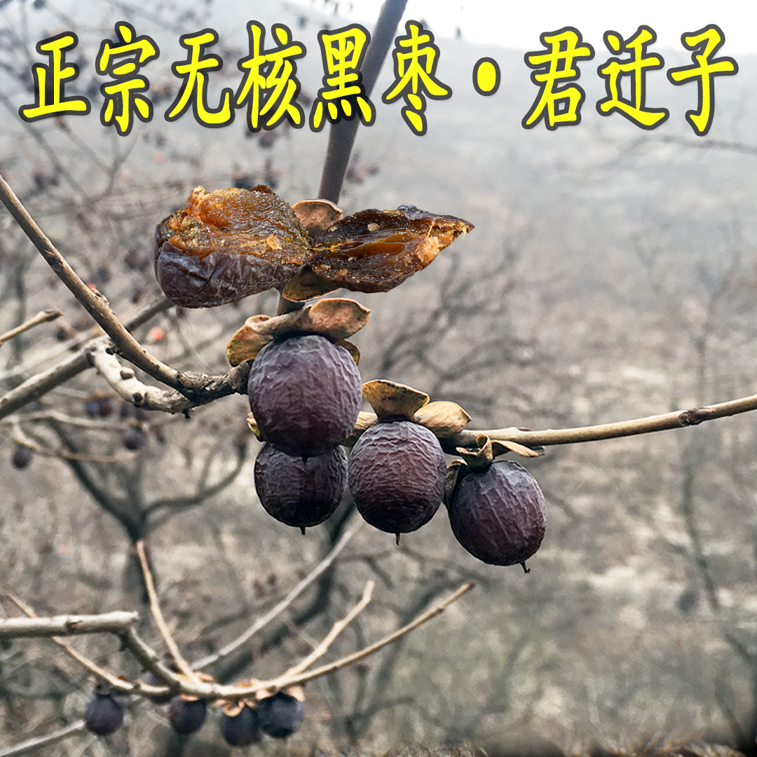 正宗黑枣 无核软枣君迁子小圆枣小柿子 天然野生农家黑枣包邮