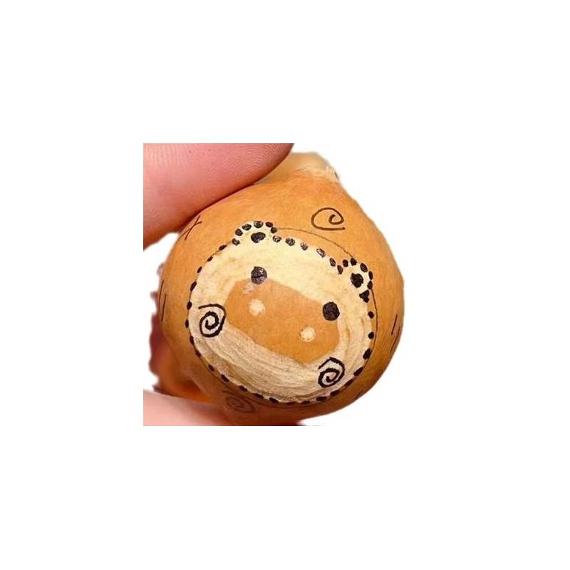小萌宠卡皮巴拉小猪DIY天