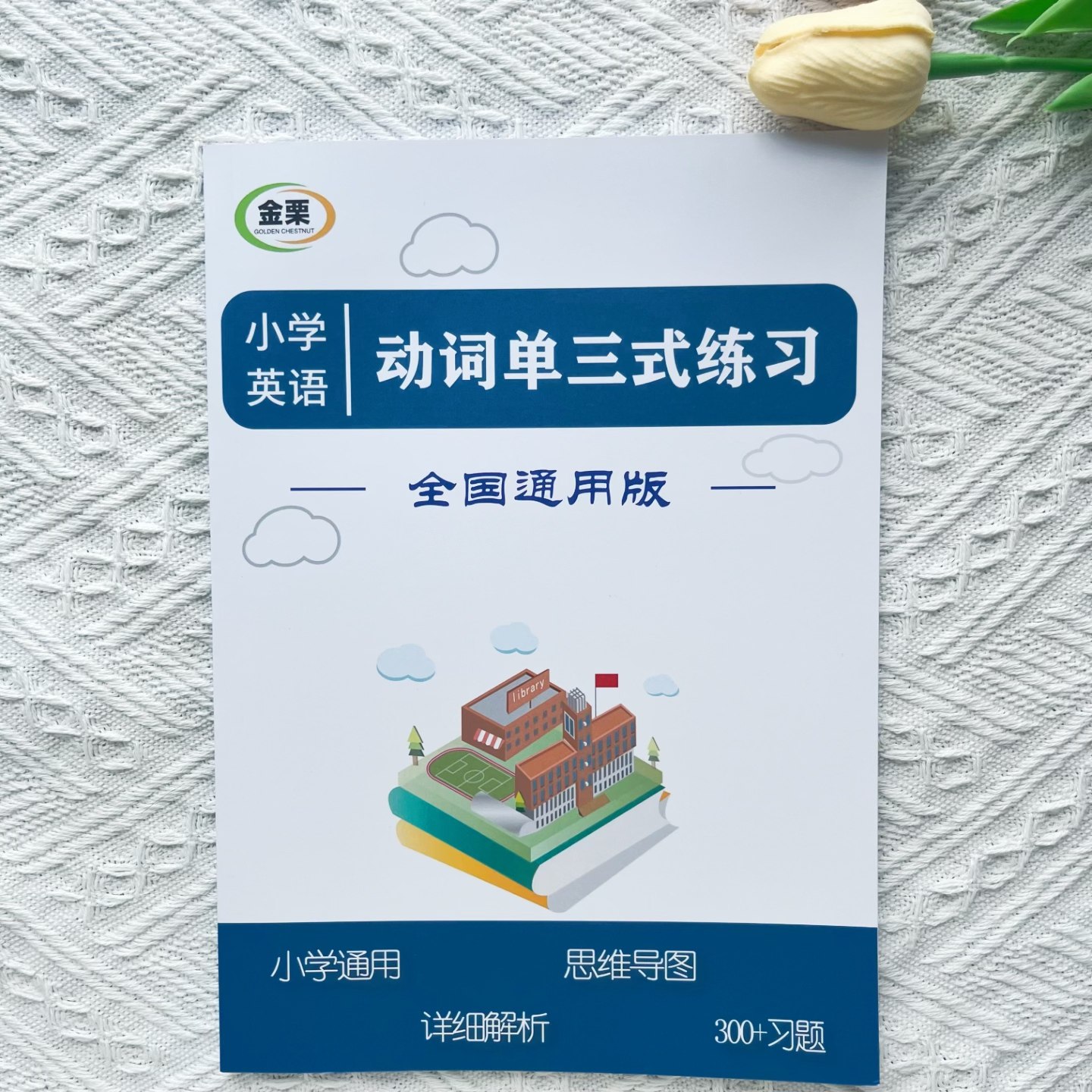 小学英语动词单三式专项练习册300题思维导图小升初含解析通用版