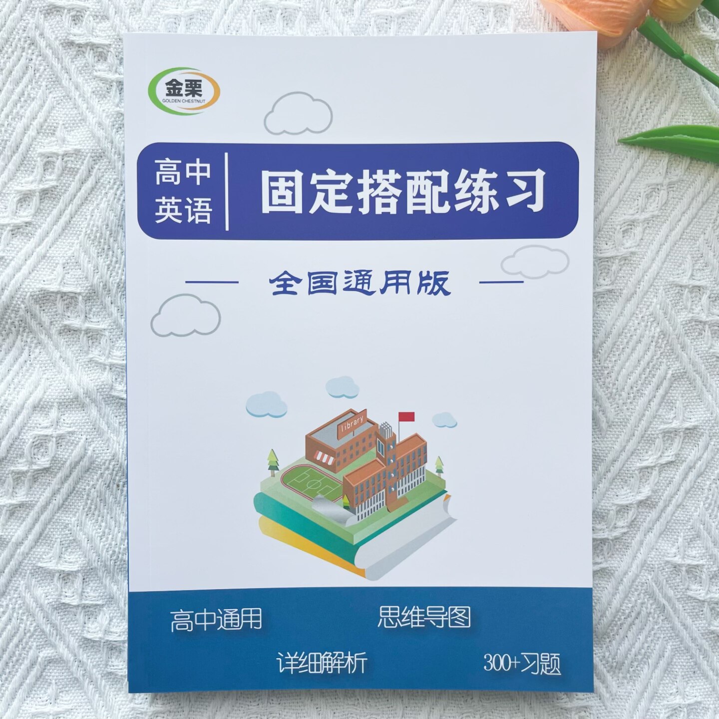 高中英语固定搭配专项练习册含详细解析300题高中高考通用版