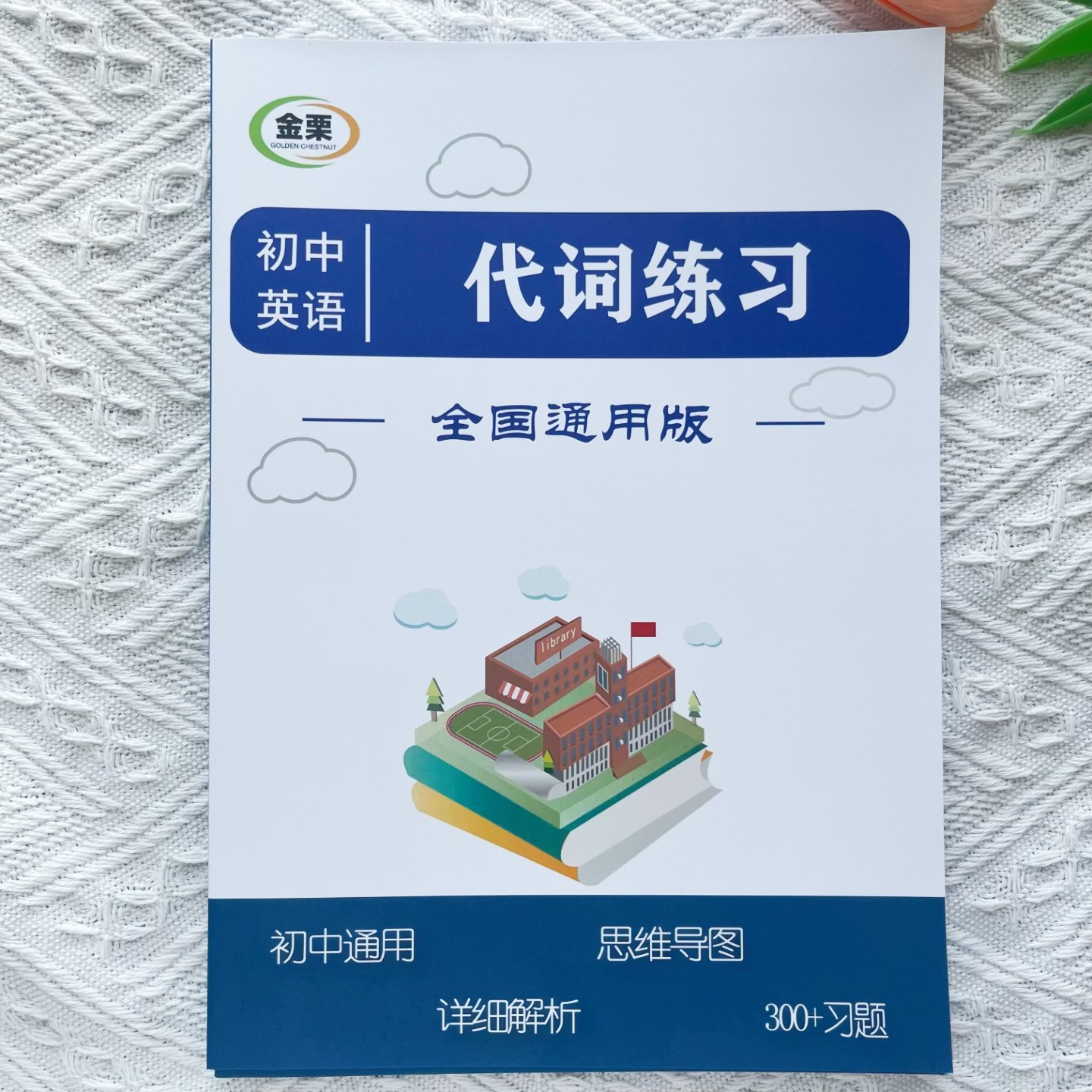 初中英语代词专项练习册含思维导图解析300题初中中考通用