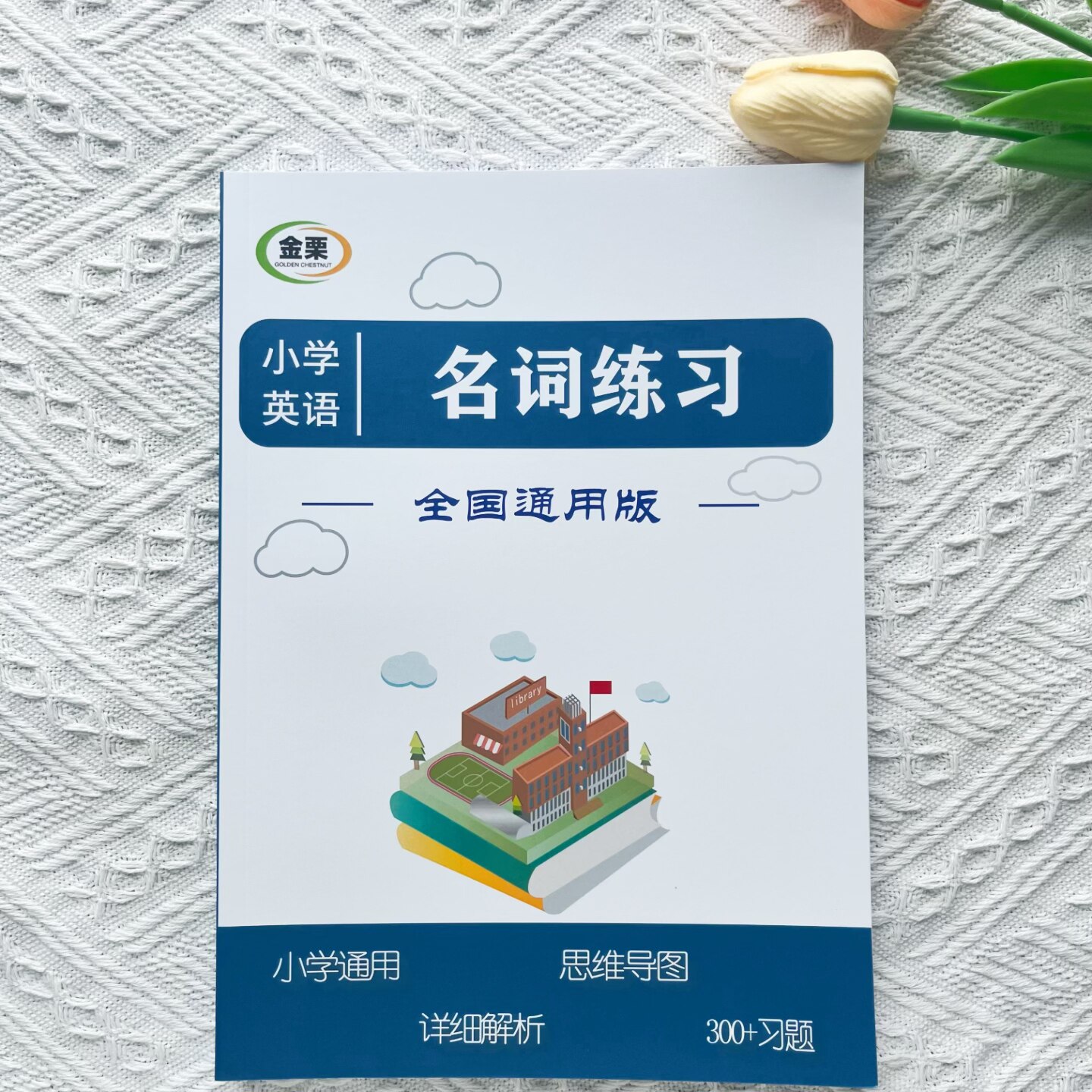 小学英语名词专项练习300题思维导图黑白印含解析小升初通用版
