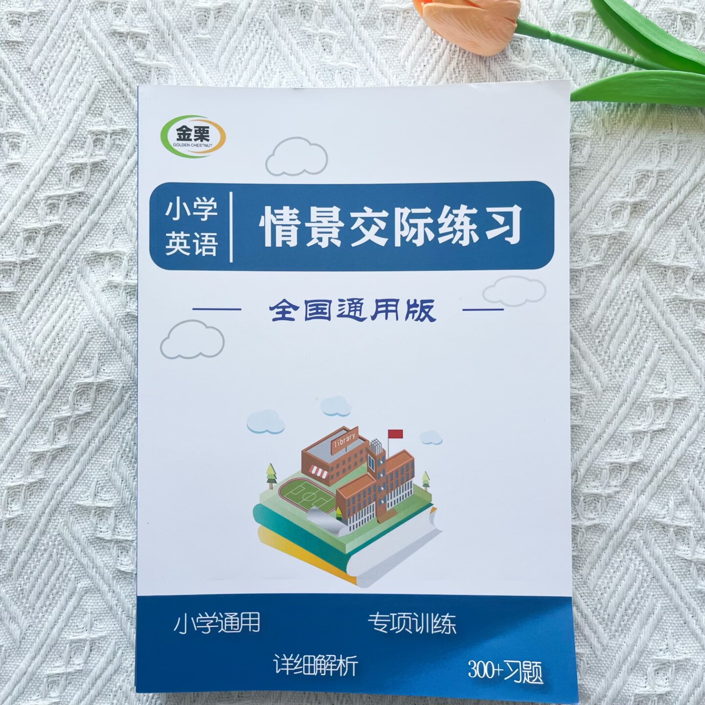 小学英语情景交际专项练习册300题含解析小学三四五六小升初通用