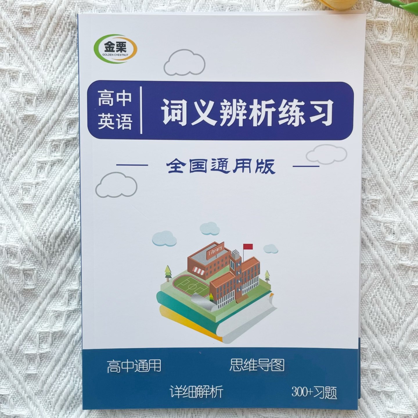 高中英语词义辨析专项练习册含思维导图解析300题高中高考通用