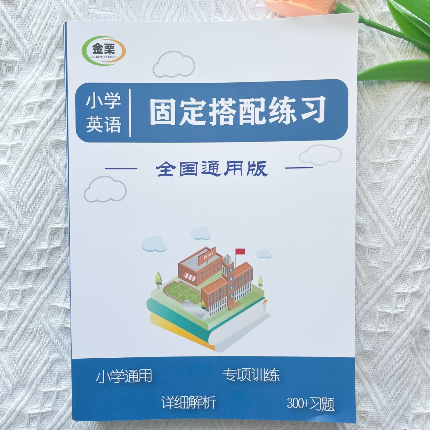 小学英语固定搭配专项练习册300题含解析小学三四五六小升初通用