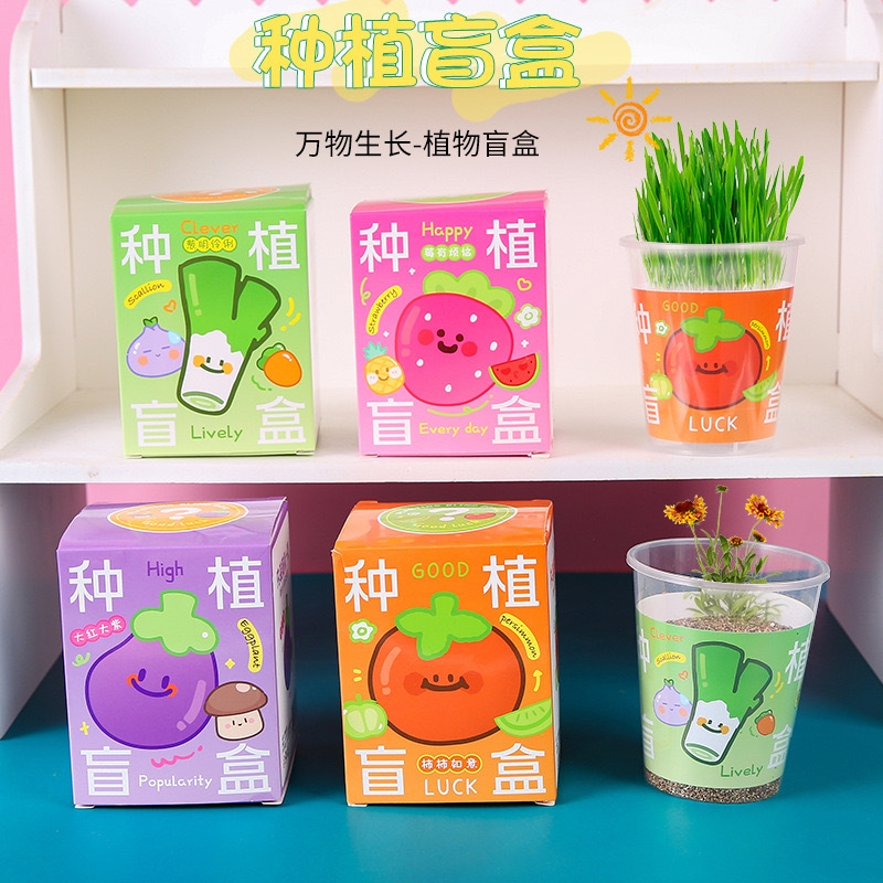植物盲盒绿植儿童盆栽种植幼儿园观察小学生种子创意科学实验玩具