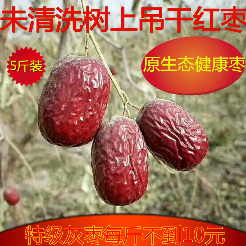 新枣新疆若羌红枣特级大枣原生态未清洗树上吊干原粒若羌灰枣5斤