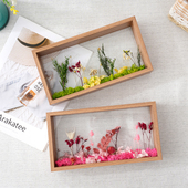 饰贝壳展示框 裱装 双面透明玻璃中空4干花摆台相框 加厚立体标本装