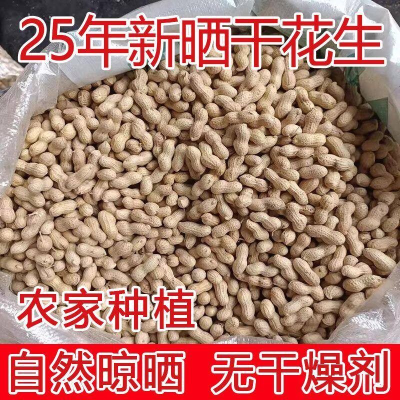 新货【净重发货】新鲜小颗粒珍珠花生果晒干生花生带壳榨油小珍珠
