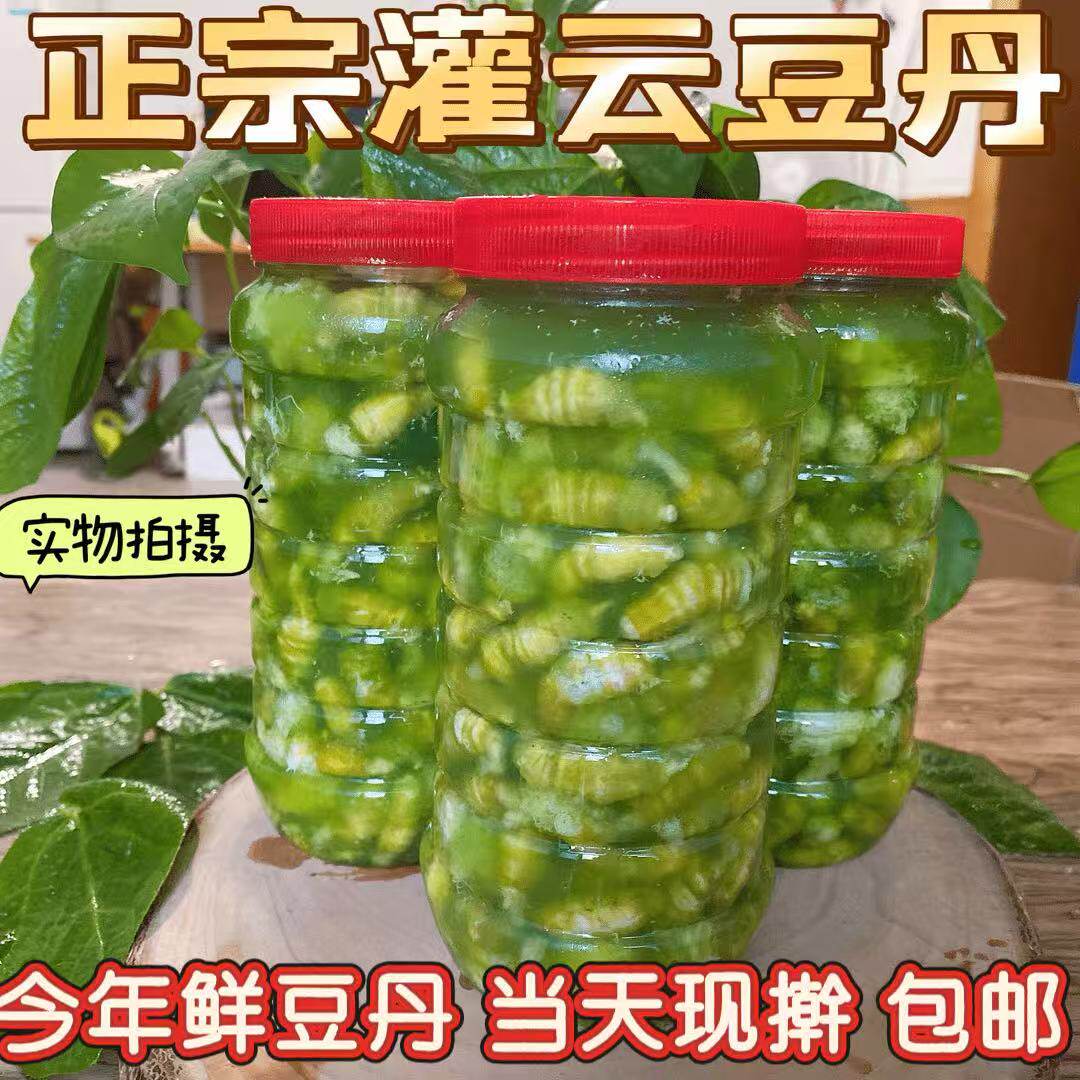 灌云豆丹肉现擀连云港特产豆虫肉食用昆虫速冻豆丹野味高蛋白500g
