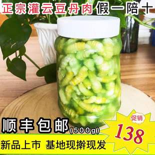江苏特产灌云豆丹肉新鲜豆虫食用昆虫速冻豆丹青果野味高蛋白500g