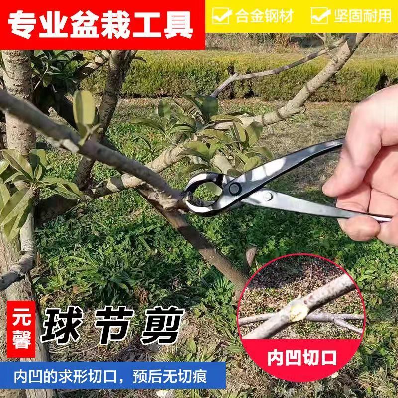 元馨球节剪盆景套装球节剪球节钳球剪修剪钳盆景工具三件套球形剪