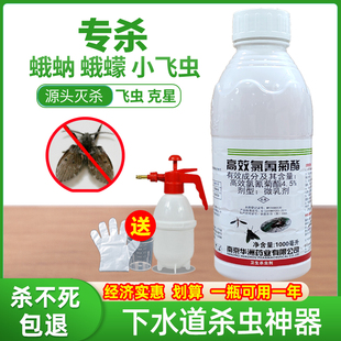 下水道小飞虫灭杀神器厕所卫生间厨房管道地漏杀蛾蠓蛾蚋除虫剂
