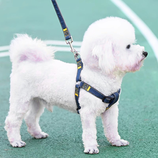 狗狗牵引绳大型中型小型犬狗链子狗项圈泰迪金毛遛狗绳子宠物用品